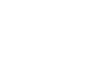 Bolt logo white