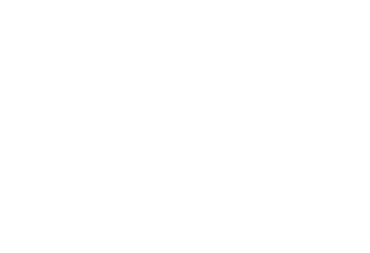ibancar logo white