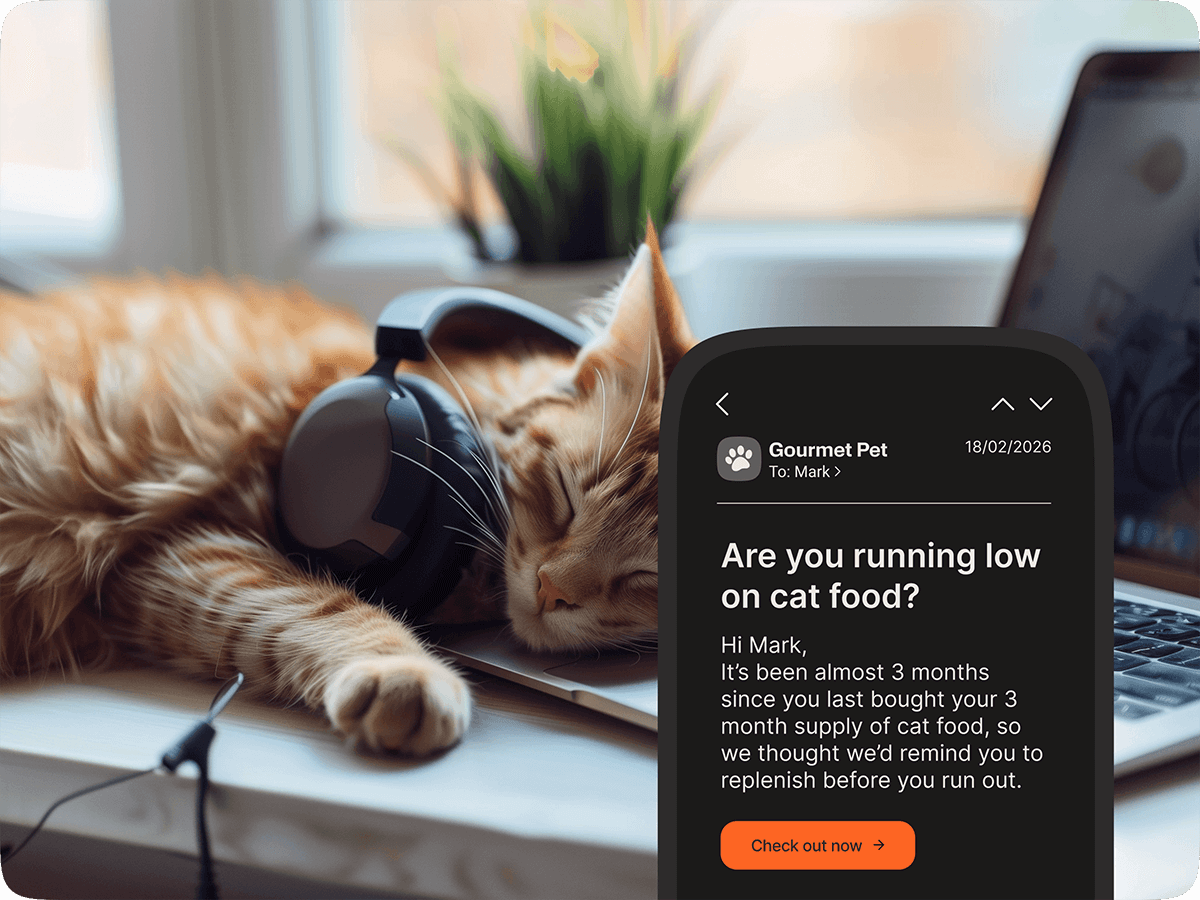 Personalized replenishment email from Gourmet Pet reminding a customer to reorder cat food based on their purchase history, displayed on a phone next to a sleeping cat