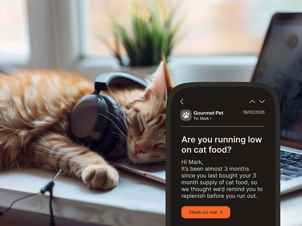 Personalized replenishment email from Gourmet Pet reminding a customer to reorder cat food based on their purchase history, displayed on a phone next to a sleeping cat