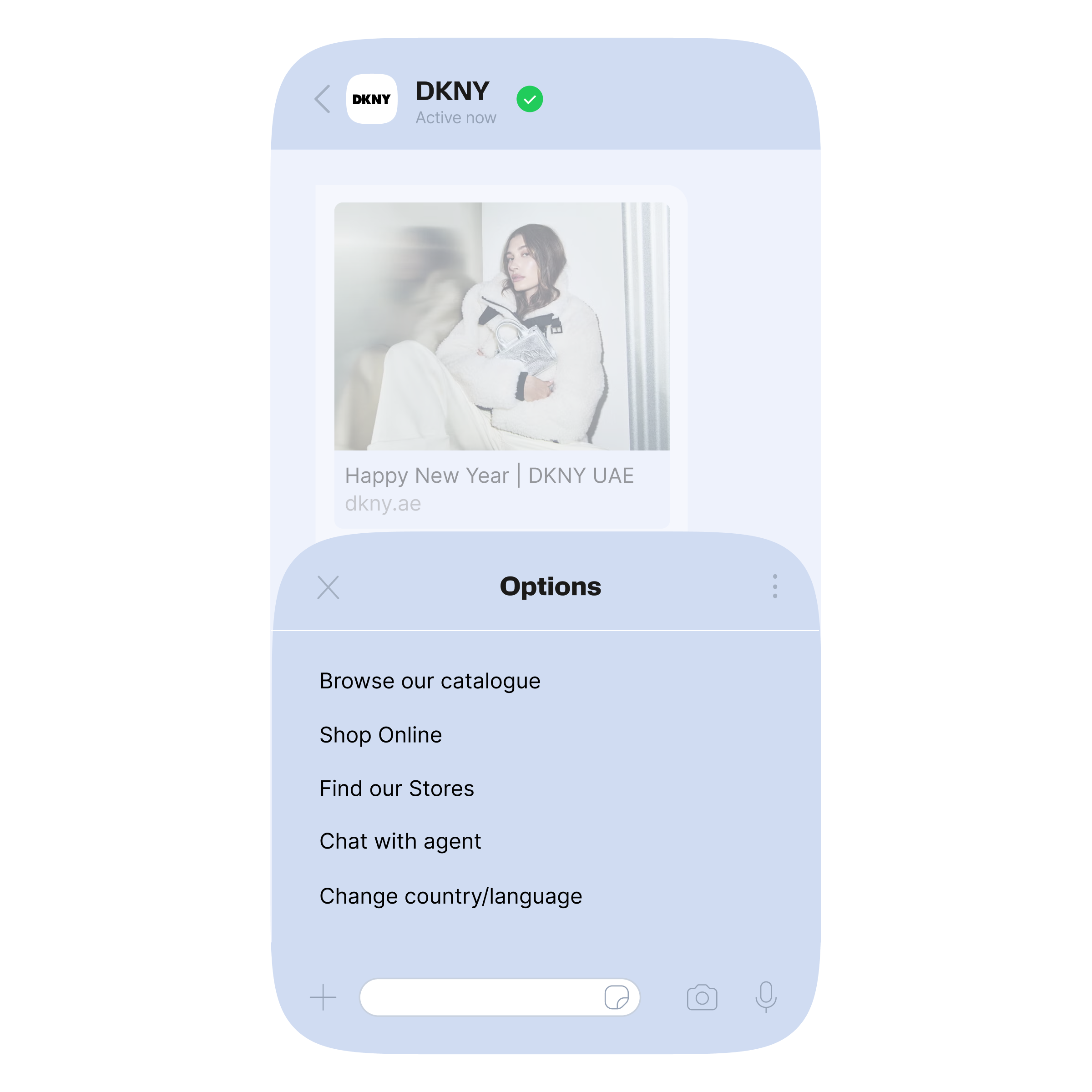 Verified DKNY WhatsApp business chat interface showing a brand header marked ‘Active now.’ A promotional message card is visible at the top, followed by an options menu listing actions including browse our catalogue, shop online, find our stores, chat with an agent, and change country or language.