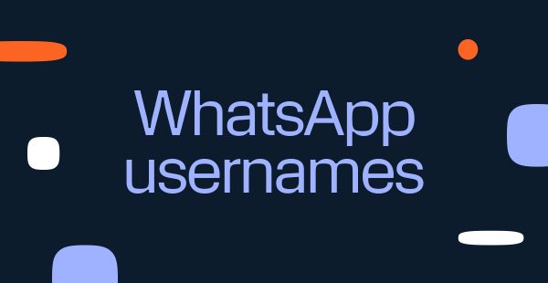 Header for a glossary entry that says "WhatsApp usernames", indicating that this is the place where you will find all information on what WhatsApp usernames are and all you need to know about the new WhatsApp feature.