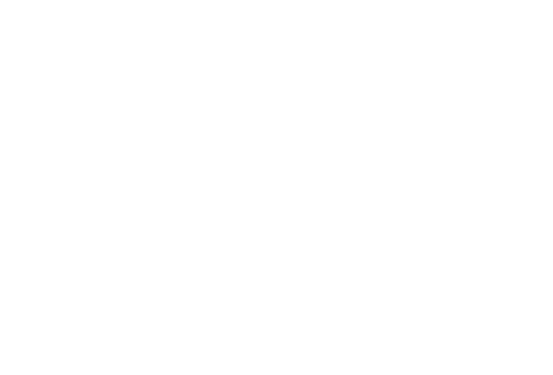 Engineering Leadership