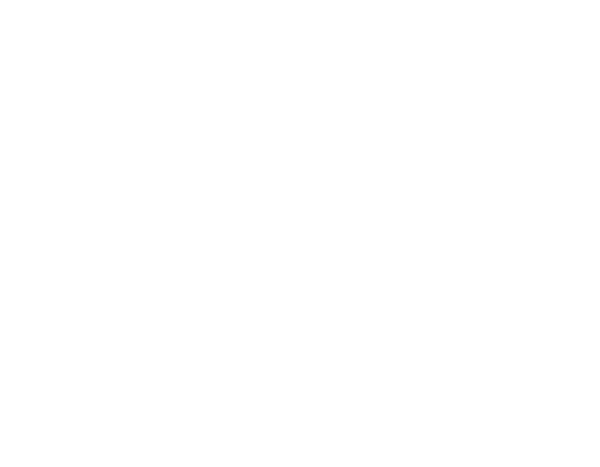 Satori Catalyst