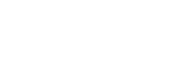 Sizzy