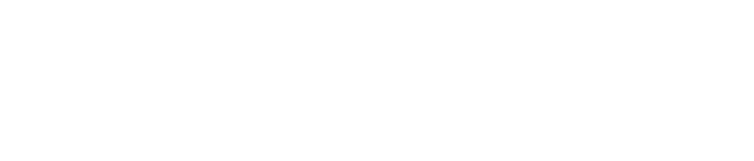 Duetto