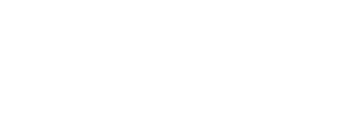 Piton Capital